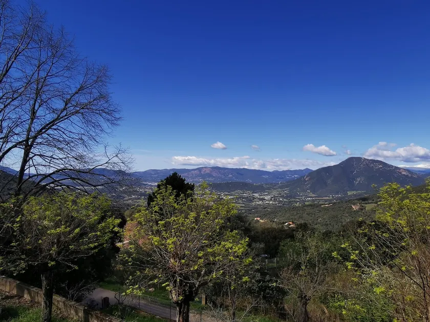 ”A Casetta Tigliu Gîte - Peaceful haven in Corsica” - Image 1