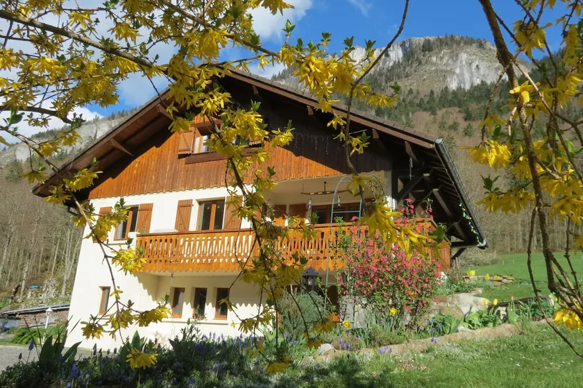 Apartment in a house - Image 1