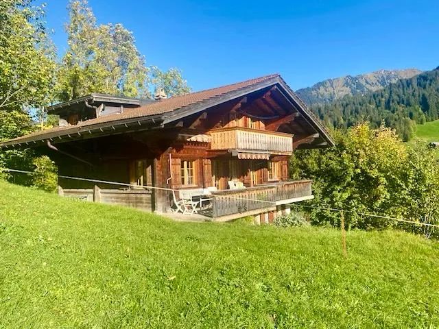 Chalet near Gstaad - Image 1