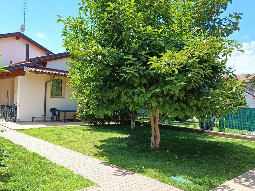 Serenity Garden - Image 1