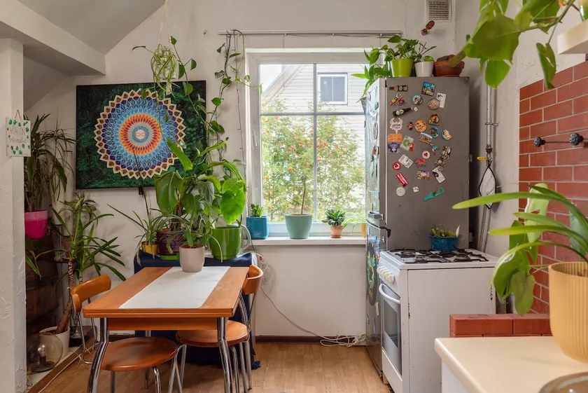 Urban Jungle: 100+ Plants | Walk to Old Town - Image 1
