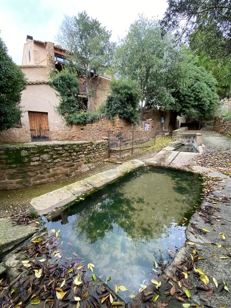 The Fake Palace - Image 1