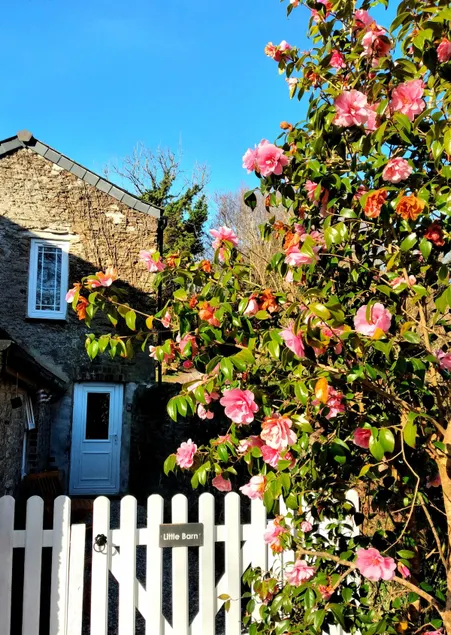 Cute Cornish Cottage - Image 1