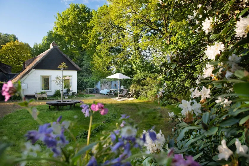 Cottage Nature And So - Image 1