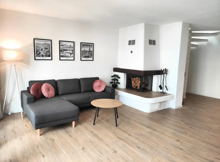 Top duplex Apartment Zurich-Limmattal - Image 1