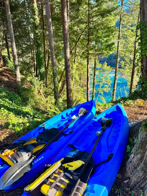 Redwoods ON The River-Retreat With Beach Access! - Image 1