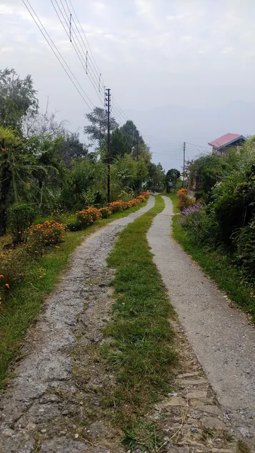 Stay Pal Be Vi 3bhk Pvt Cottage Near Ranikhet - Image 1