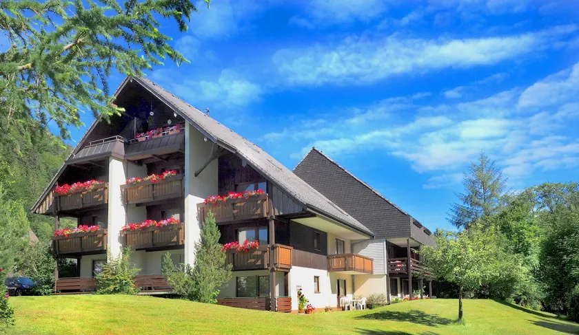Holiday home Albmatte - 20 min from Feldberg - sauna in the house - Image 1