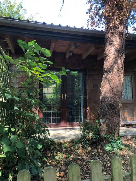 Bumblebee lodge. - Image 1