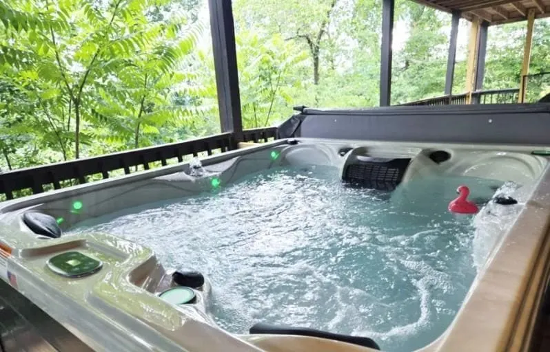 Great Smoky Mountain, Hot Tub, Mins to Dollywood - Image 1