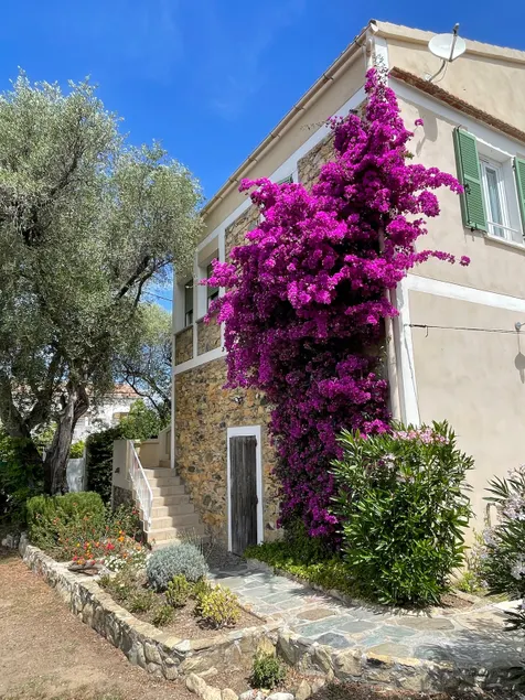 La Vigne - 3 room apartment + large terrace - Image 1