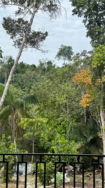 Amazonian retreat overlooking the river - Image 1