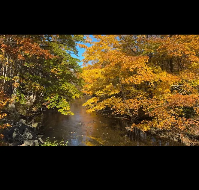 Ananda - Enchanted Forest Hideaway - Image 1