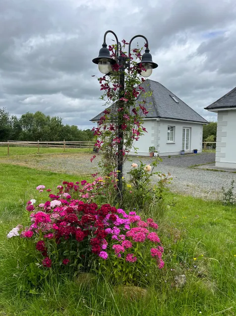 The Horse's Haven B&B - Image 1
