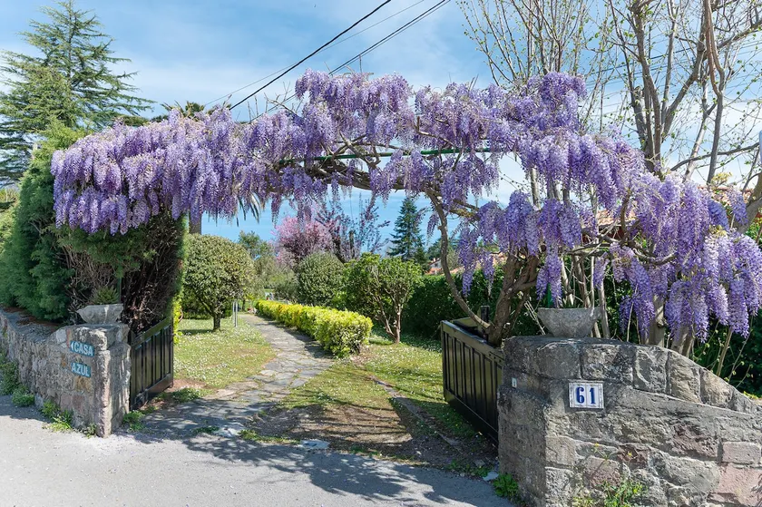 Villa Glicinia - Image 1