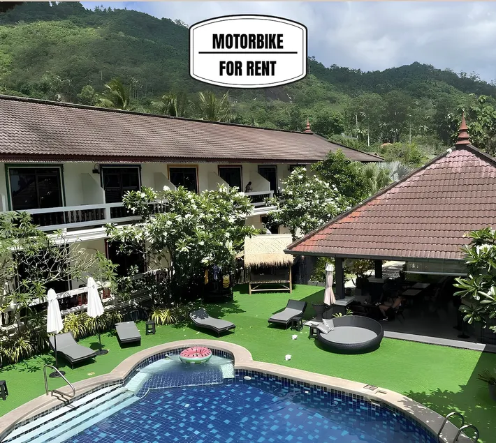Pool Tropical Palm Apartment - Image 1