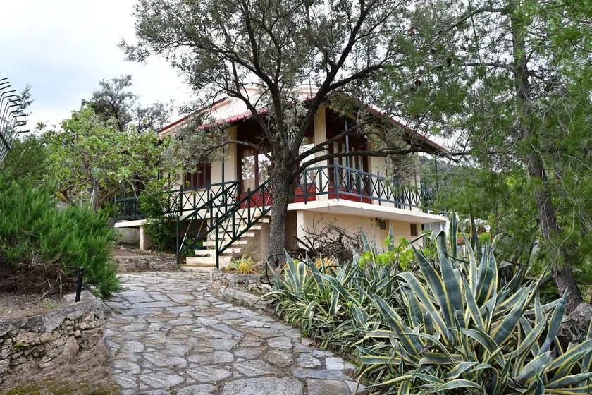 ”OURANIA's” forest retreat -aegina - Image 1