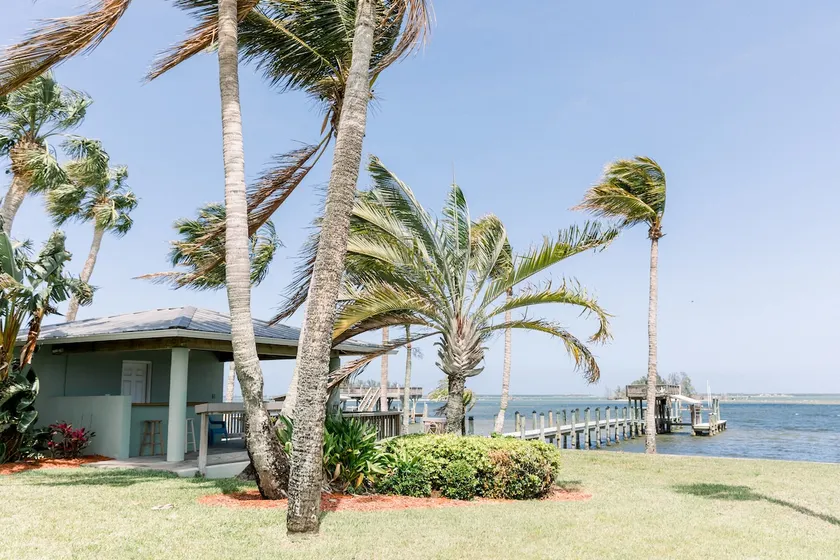 The Riverfront Oasis - Image 1