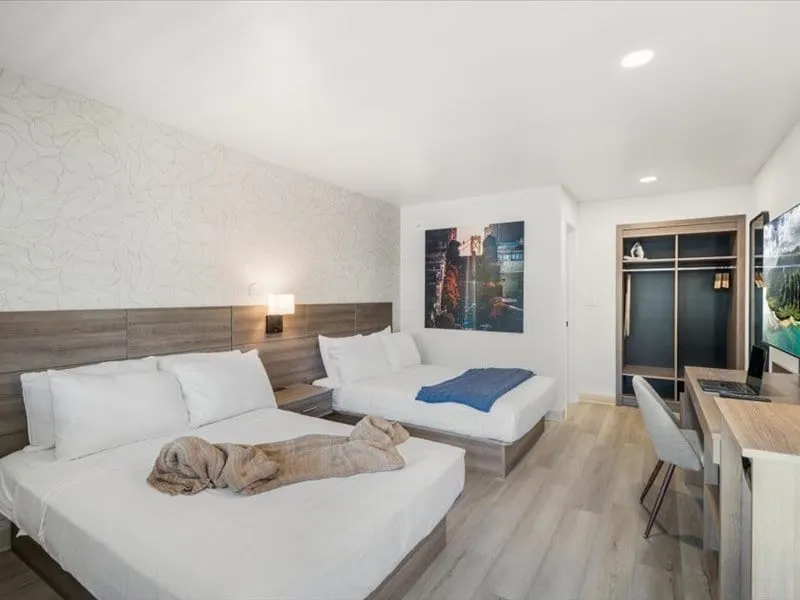 At Mine - Geary Double Suite in San Francisco - Image 1