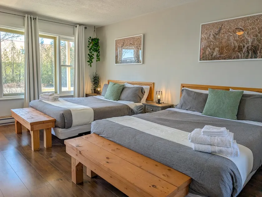 Studio for 4 people · Enclosed kitchen · River access · 11 - Image 1