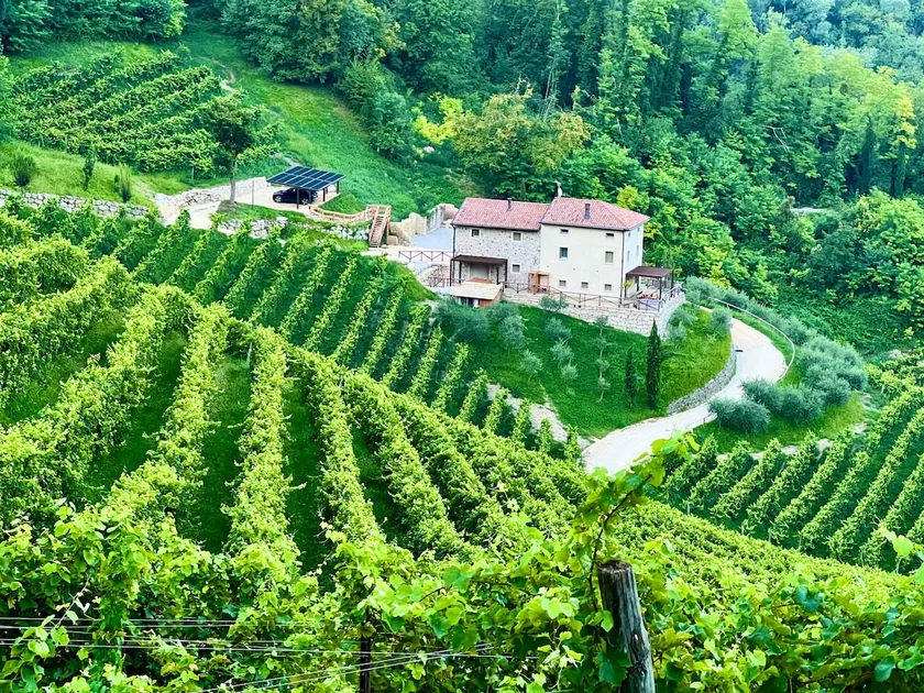 Divigna Hospitality - Prestige Vineyards Villa - Image 1