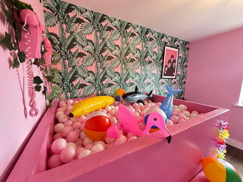 Ultimate Pink House w/ Ballpit! - Image 1