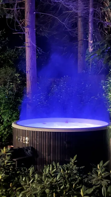 Forest cottage in Norg with hot tub, sauna + outdoor shower - Image 1
