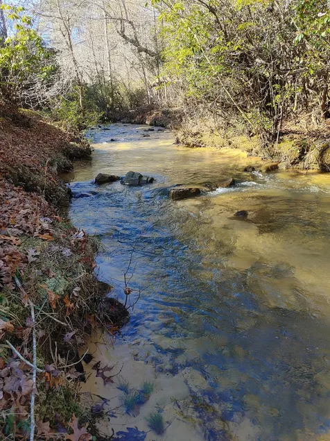 Teich zum Angeln & Creek zum Sitzen * Hawk's Nest Hideaway in Privatbesitz * - Image 1