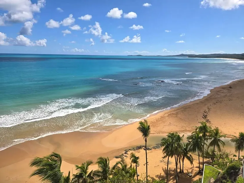 Beachfront Condo with Amaing Ocean View. walk to Beaches & Restaurants - Image 1