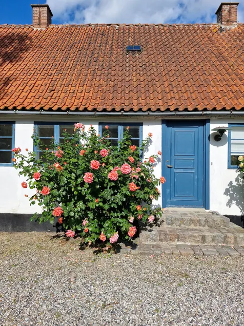 A whole guesthouse in the outskirts of Stege - Image 1