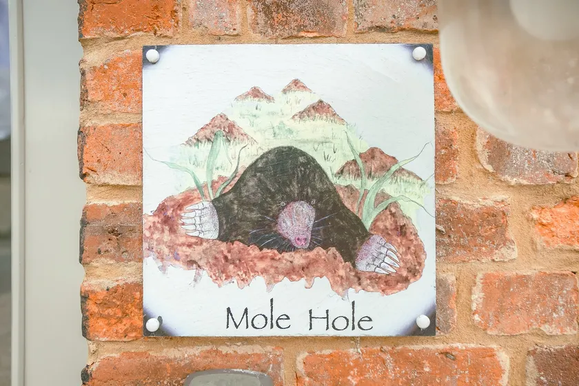 Mole Hole - Image 1