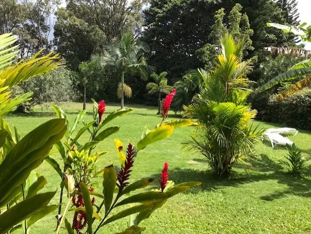 Relaxing 1-B ”Apt” on the secluded green belt. A/C - Image 1