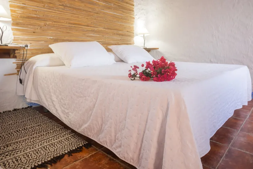 Casa Pájaros - Image 1