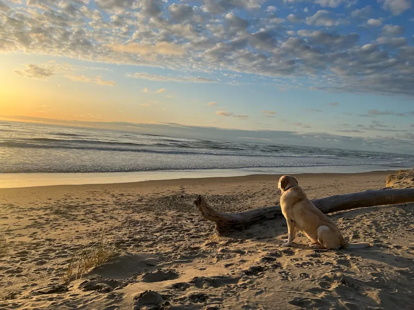 STRAND VORNE mit Blick auf die Bucht !! - Image 1