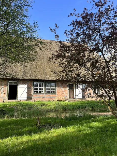Thatched Roof Apartment • Quiet • Near Lübeck - Image 1