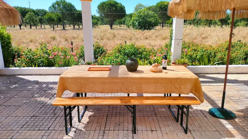 Alentejo SouthWest Countryside Villa Mimosa - Image 1