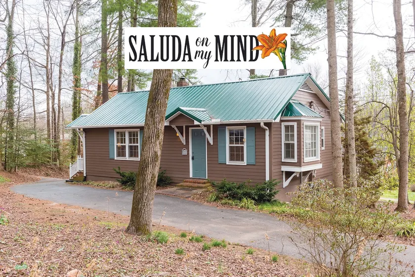 CHARMING Saluda on My Mind – 2min Walk to Downtown - Image 1