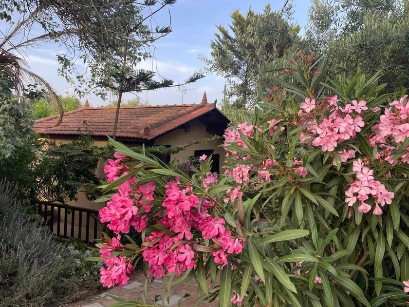 Beautiful wooden house with garden in Kampos - Image 1