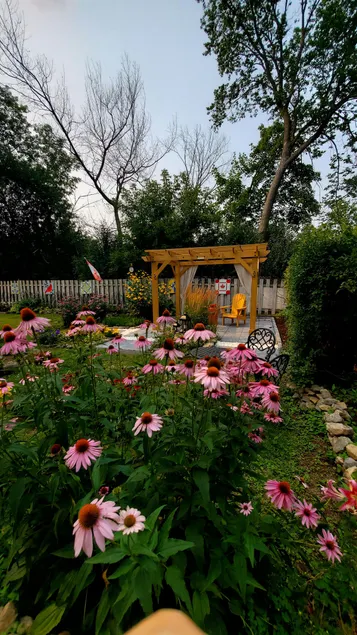 Cosy Garden Apartment in Pointe-Claire - Pets OK - Image 1