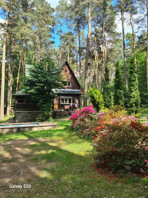 Cozy hut in the forest, pool&grill BBQ - Image 1