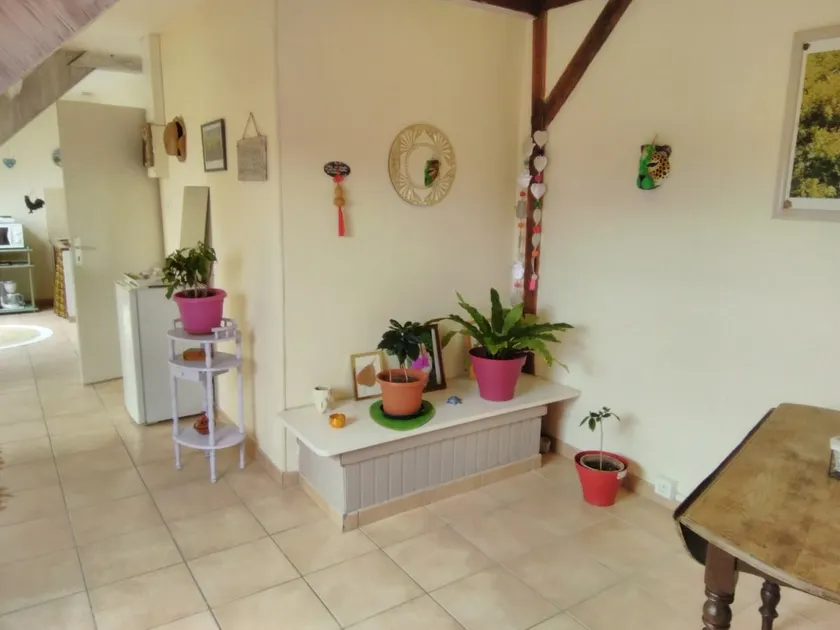 South-facing apartment, nature and beachfront - Image 1