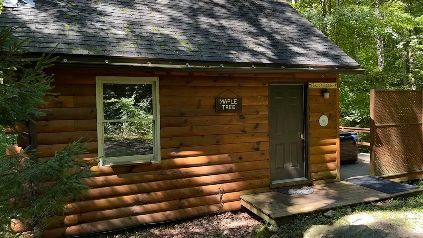 Maple Tree Cabin overlooking mountain stream. - Image 1