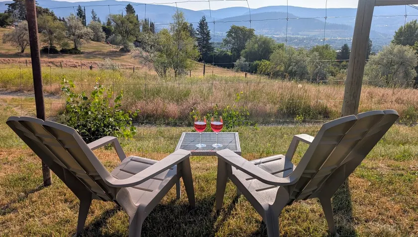 Nature's Window: Spacious, private view suite! - Image 1