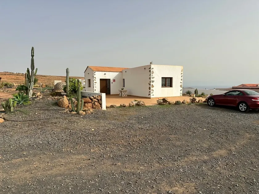 Cactus and Stone - Wellness - Image 1