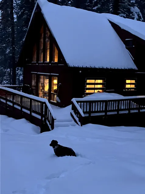 Pet Friendly, cabin in Serene Lakes near Tahoe - Image 1