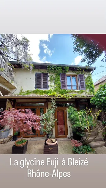 The little house in Chervinges, 3 bedrooms + air conditioning - Image 1