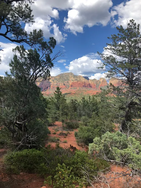 Location, Location, Location II - Image 1