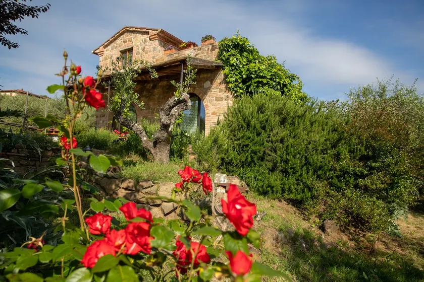 Il Poggio Dell'Eremita - Image 1