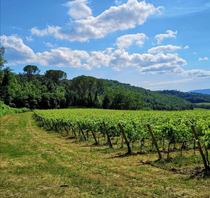 Apartment in The Heart of Chianti hills - Image 1