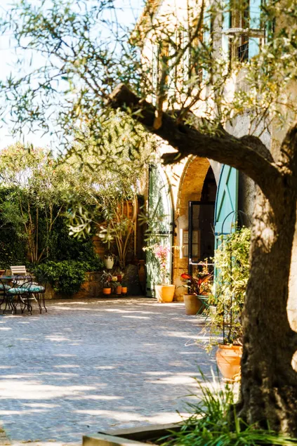Gîte with a view of the Canal du Midi and the olive trees - Image 1